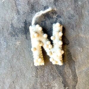 Holly Pommed Monogram Ornament